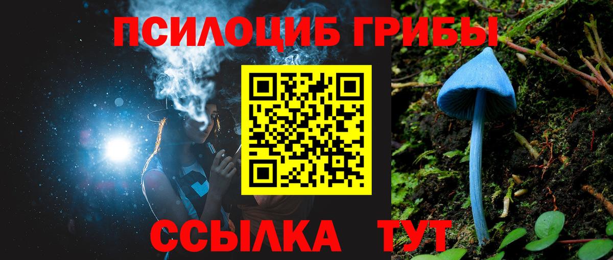 Псилоцибиновые грибы мицелий Добрянка