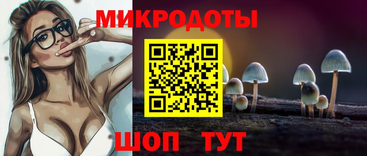 Псилоцибиновые грибы Psilocybe  Вход с VPN  Добрянка 